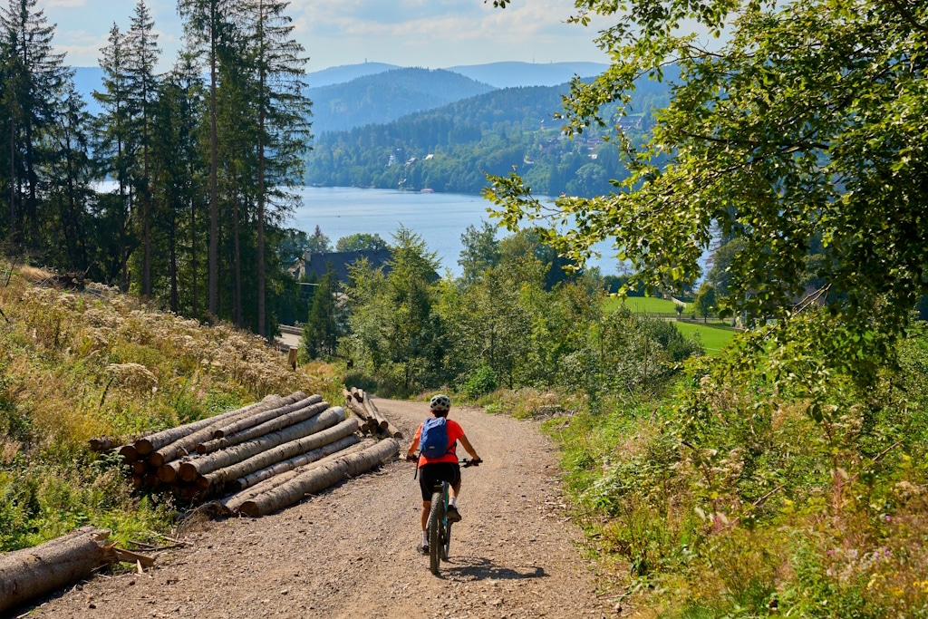 Schwarzwald Titisee